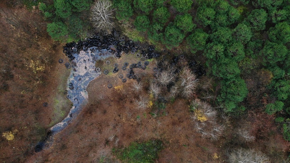 Doğa katliamı: Ormanlık alan lastik tarlasına döndü 6
