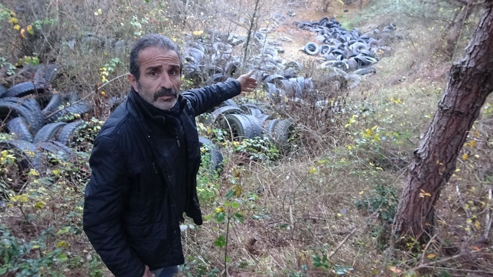 Doğa katliamı: Ormanlık alan lastik tarlasına döndü 8