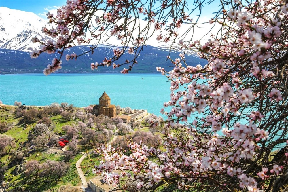 Akdamar Adası'nda Çiçek Şenliği 3