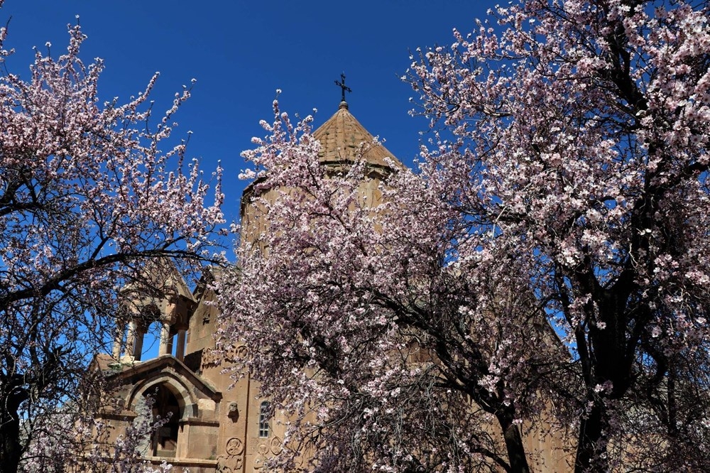 Akdamar Adası'nda Çiçek Şenliği 4