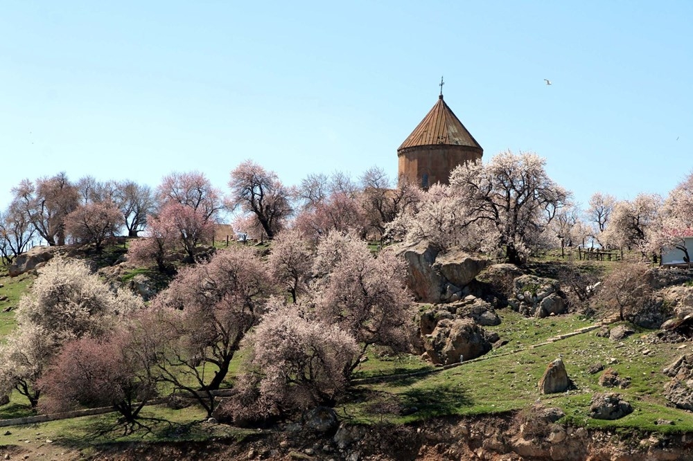 Akdamar Adası'nda Çiçek Şenliği 5