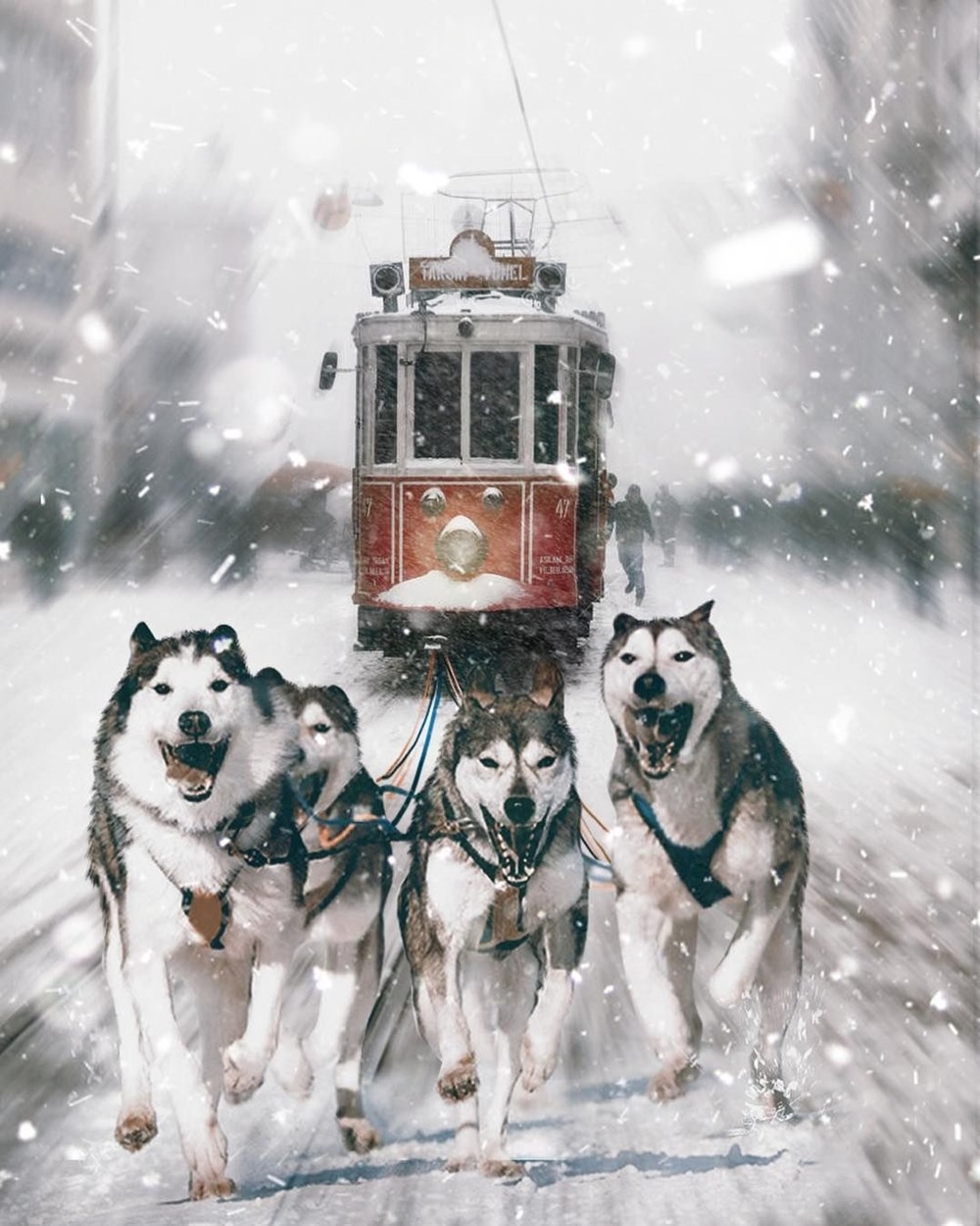 Sanatçı Hüseyin Şahin'den gerçek hayatta görmek isteyeceğiniz rüya  21