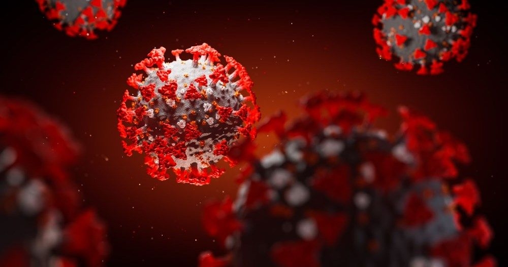 Çinli uzman uyardı: Dünya koronavirüsten daha kötü salgınlarla yüzleşece 1