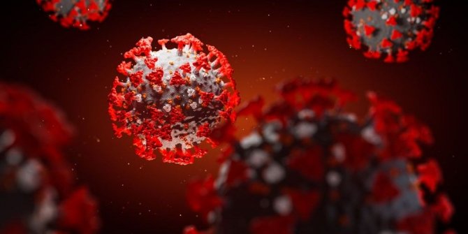 Çinli uzman uyardı: Dünya koronavirüsten daha kötü salgınlarla yüzleşece