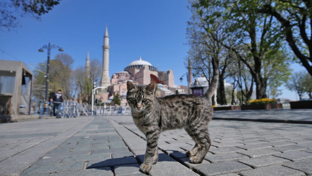 İstanbul'un fethinin sembolü: Ayasofya 4