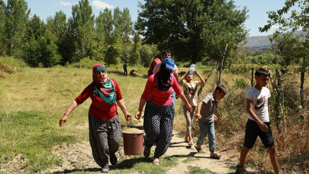 Dut pekmezinde mesai başladı 7