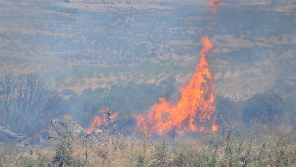 Çanakkale'de örtü yangınında 5 dönüm alan zarar gördü 1