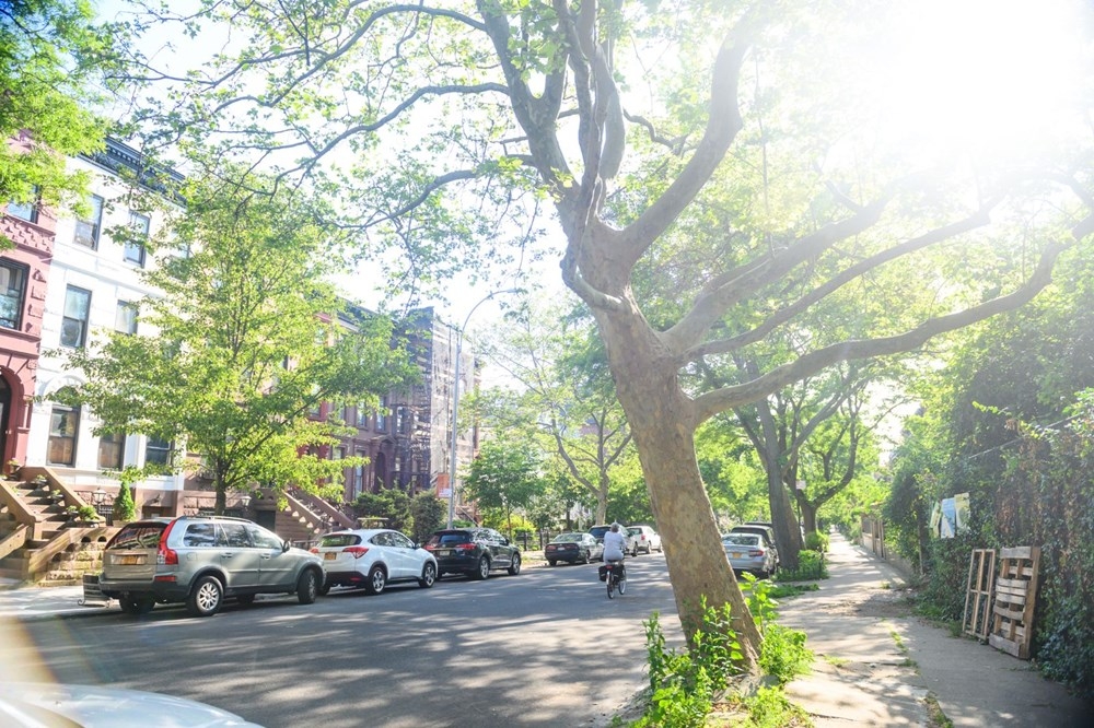 Dünyanın en havalı semtleri açıklandı 8