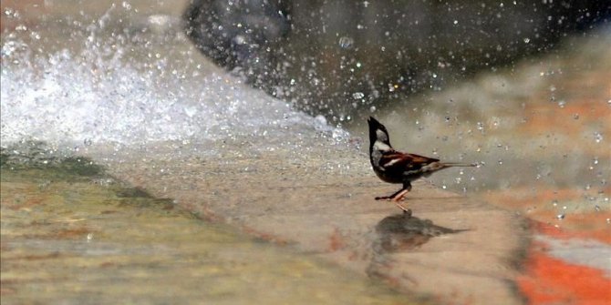 Orta Anadolu'da hava sıcaklıkları eylül ayı rekorunu tazeledi