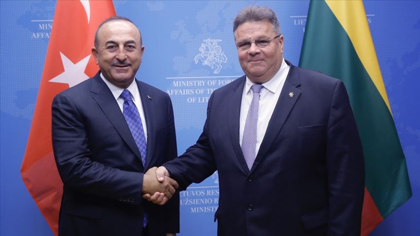 Çavuşoğlu ve Linkevicius: Türkiye ve Litvanya mükemmel ikili ilişkilere sahiptir