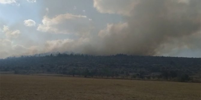 Bolu'da ormanlık alanda yangın