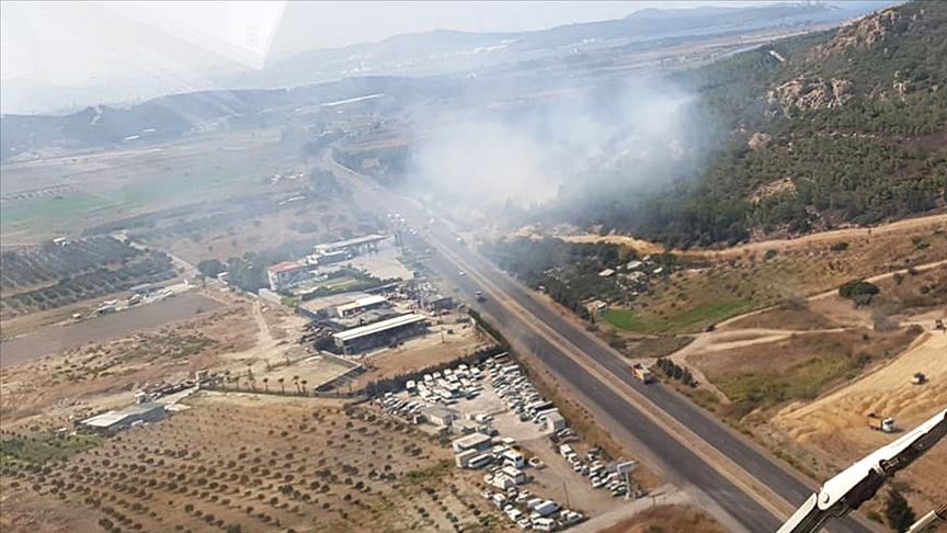 İzmir'de orman yangını çıktı