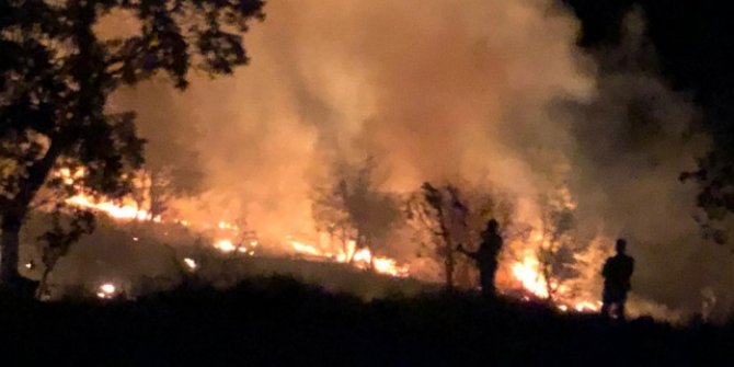 Aydın'da dün çıkan orman yangını kontrol altına alındı
