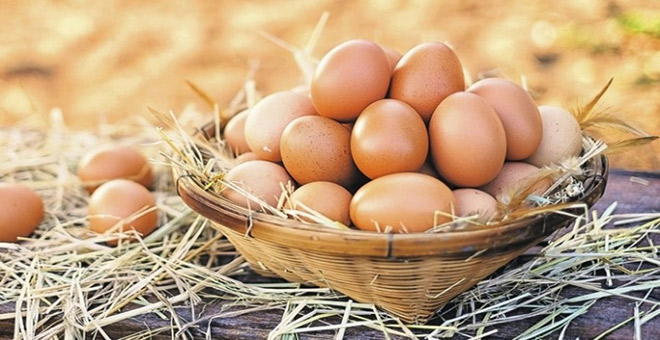 Türkiye'den İran'a 2 bin TIR yumurta