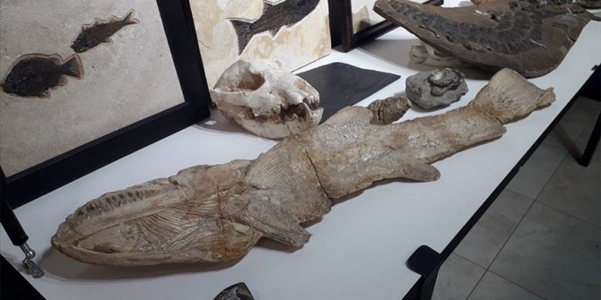 Adnan Oktar'ın Ankara'daki evlerinden milyon dolarlık fosiller çıktı