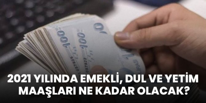 2021 Yılında Emekli, Dul ve Yetim Maaşları Ne Kadar Olacak?