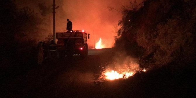 Kastamonu'da ormanlık alan ve mahallede etkili olan yangın kontrol altına alındı