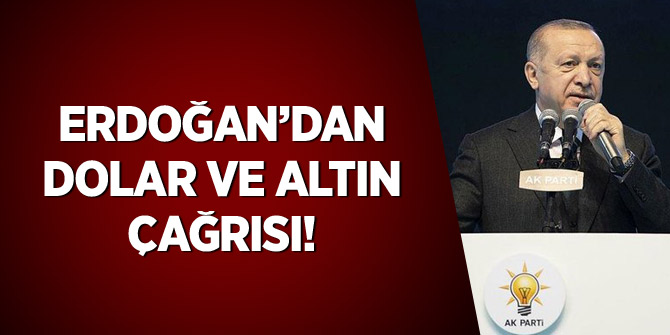 Cumhurbaşkanı Erdoğan'dan dolar ve altın çağrısı