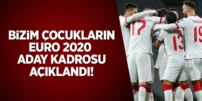 A Milli Takım'ın EURO 2020 aday kadrosu açıklandı