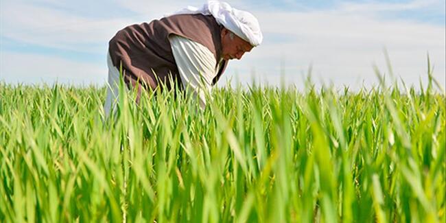 Bakan Pakdemirli'den 'Dünya Çiftçiler Günü' mesajı