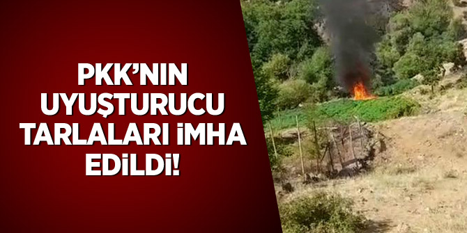 PKK'nın uyuşturucu tarlaları imha edildi