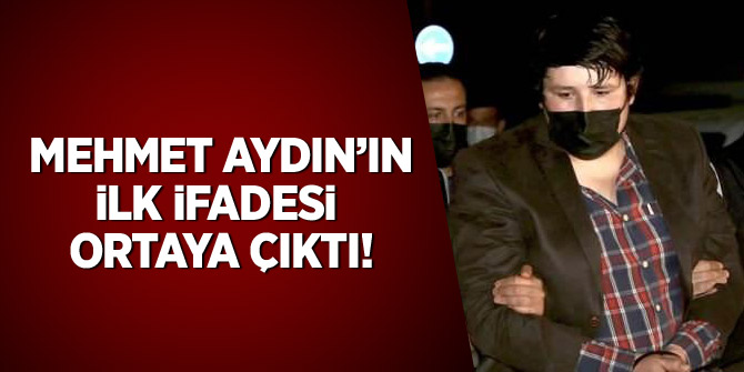 Mehmet Aydın'ın ilk ifadesi ortaya çıktı