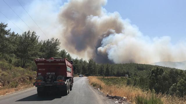 Bodrum ve Didim'de de orman yangınları çıktı