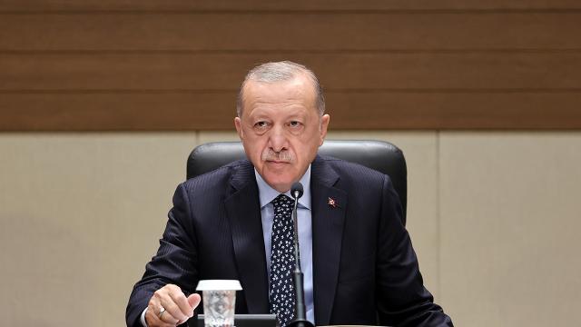 Erdoğan: DEAŞ'a karşı en güçlü mücadeleyi biz verdik