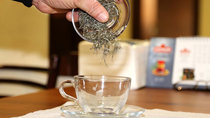 Beyaz çayın sağlığa faydaları araştırılıyor