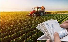 Tarımsal üretime yüksek kredi