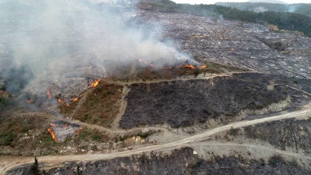 Hatay'daki orman yangınıyla ilgili 2 kişi tutuklandı