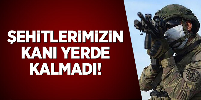 Şehitlerimizin kanı yer kalmadı: 50 PKK'lı terörist etkisiz hale getirildi