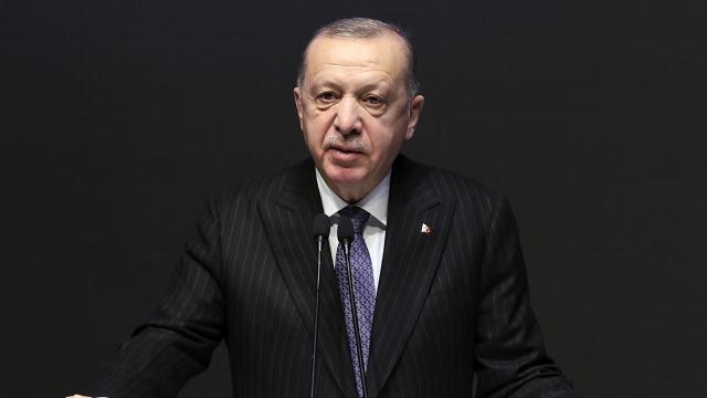 Erdoğan'dan belediyelere 'barınak' talimatı