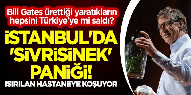 Bill Gates ürettiği yaratıkların hepsini Türkiye'ye mi saldı? İstanbul'da 'sivrisinek' paniği! Isırılan hastanelik oluyor