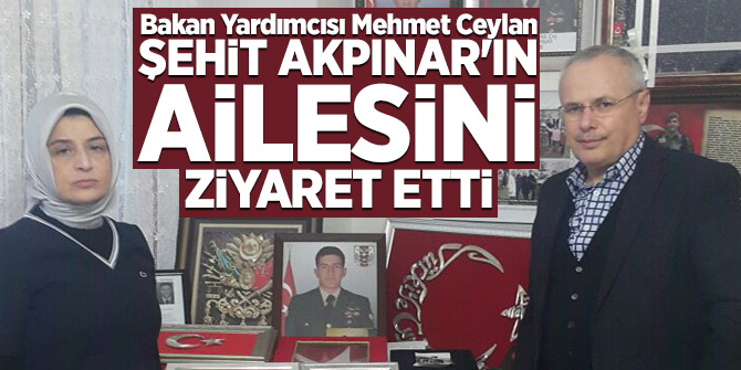 Bakan Yardımcısı Mehmet Ceylan Şehit Akpınar'ın ailesini ziyaret etti