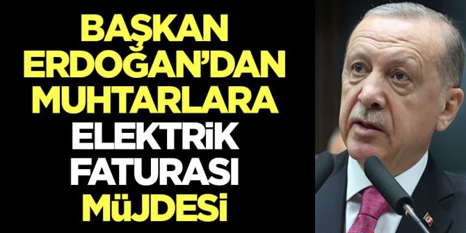 Başkan Erdoğan'dan elektrik faturası müjdesi
