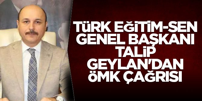 Türk Eğitim-Sen Genel Başkanı Talip Geylan'dan ÖMK çağrısı