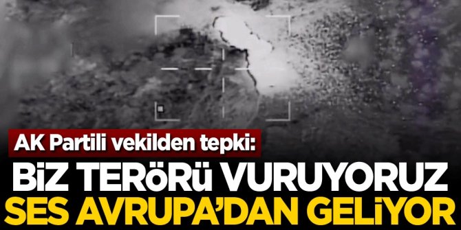 AK Partili vekilden tepki: Biz terörü vuruyoruz ses Avrupa'dan geliyor