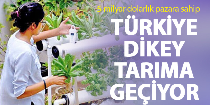 5 milyar dolarlık pazara sahip: Türkiye dikey tarıma geçiyor