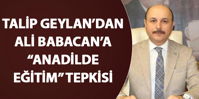 Talip Geylan'dan Ali Babacan'a "anadilde eğitim" tepkisi