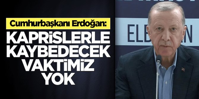 Cumhurbaşkanı Erdoğan: Kaprislerle kaybedecek vaktimiz yok