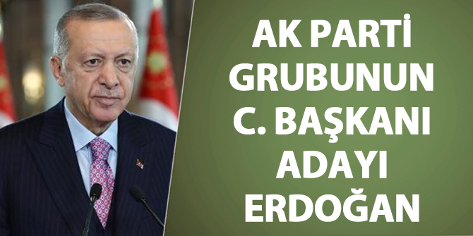 AK Parti Grubu'nun Cumhurbaşkanı adayı Erdoğan