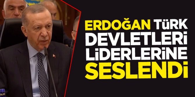 Cumhurbaşkanı Erdoğan Türk devletleri liderlerine seslendi