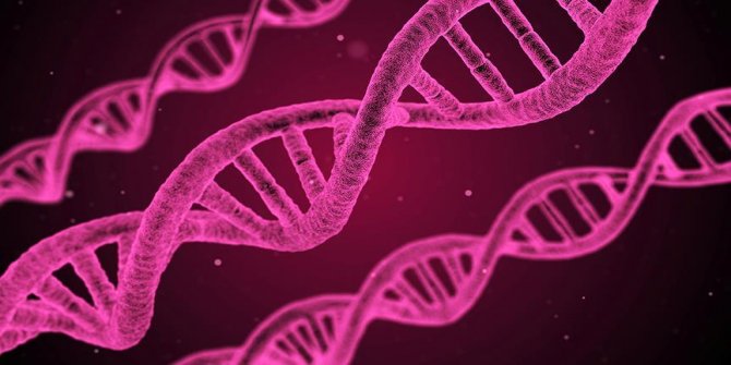 DNA nanorobotları kanser tedavisinde başarılı oldu
