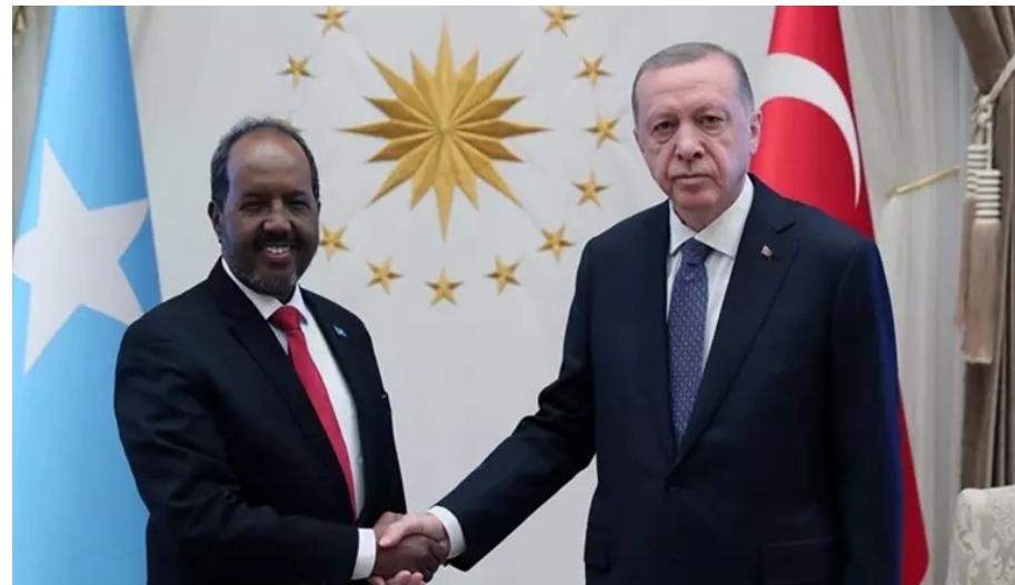 Başkan Erdoğan, Somali Cumhurbaşkanı ile görüştü: Terörle mücadelede iş birliği mesajı