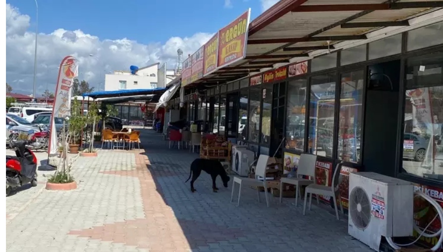 Hatay Samandağ'da depremlerden sonra açılan çarşıda 39 esnaf hizmet veriyor