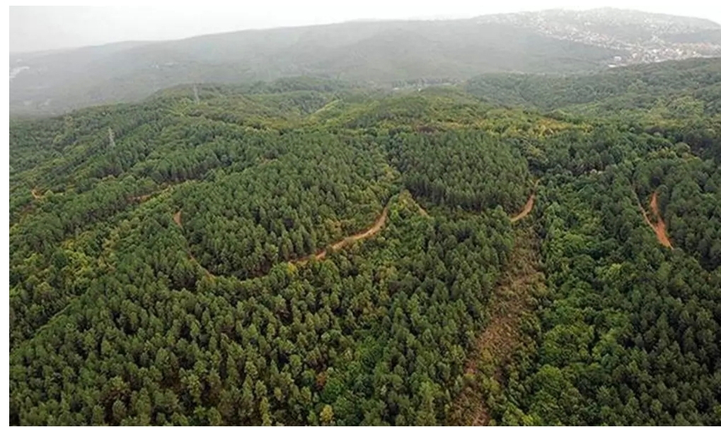 "Orman Benim" kampanyası 9 Mayıs'ta 81 ilde düzenlenecek