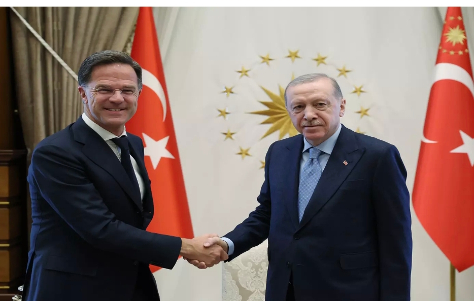 Cumhurbaşkanı Erdoğan, NATO Genel Sekreteri Rutte'yi kabul etti