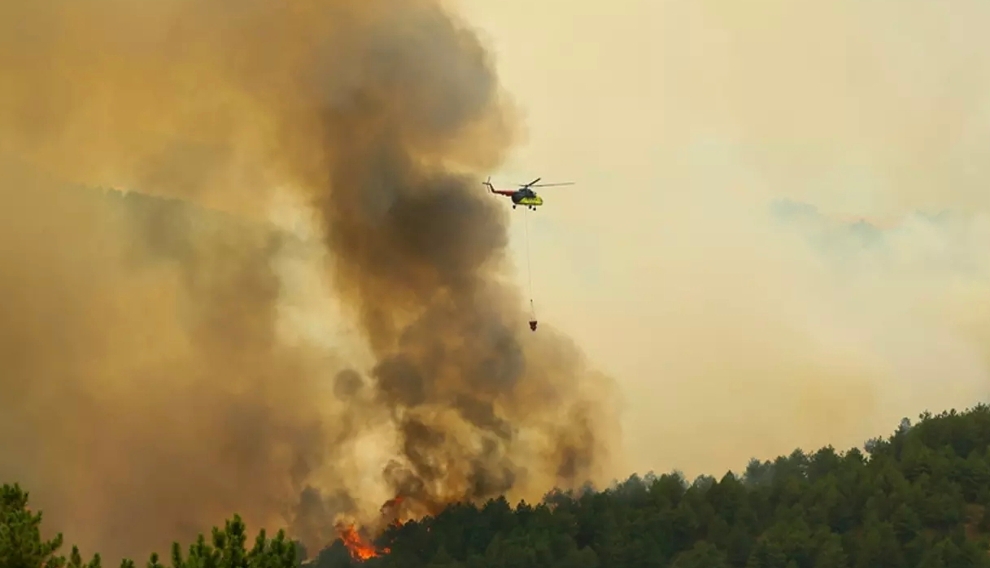 Uşak'ta orman yangını! Havadan ve karadan müdahale ediliyor