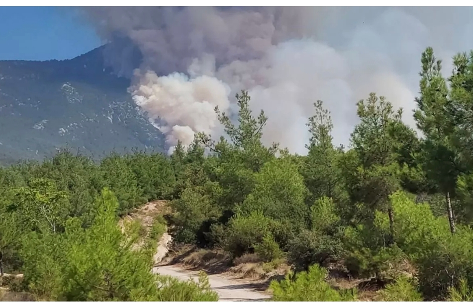 Pamukkale'de yangın: Havadan ve karadan müdahale başladı